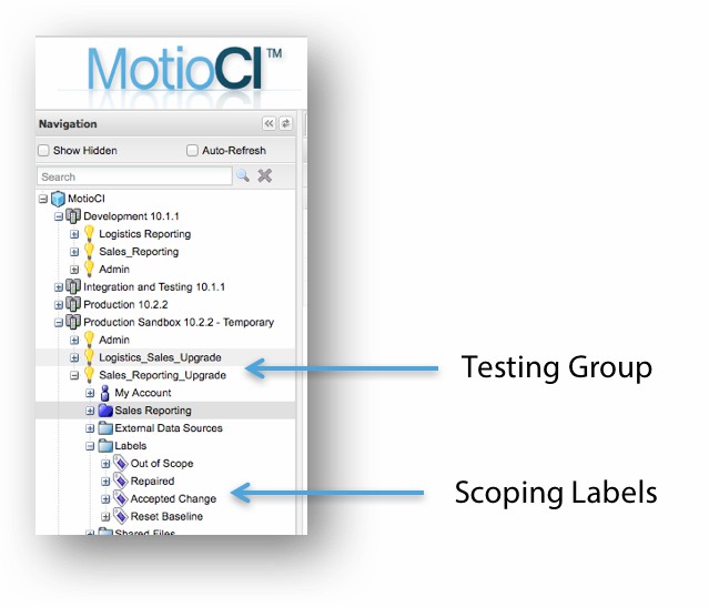 MotioCI testing group and scoping labels